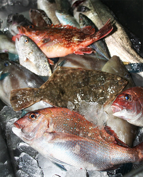 山と海に囲まれた食の宝庫、丹後